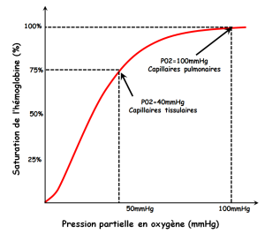 Graphe de la saturation de l'hémoglobine (en %) en fonction de la pression partielle en oxygène (en mmHg)