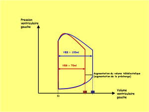 Graphe de comparaison des courbes pression-volume lors d'une augmentation du volume télédiastolique