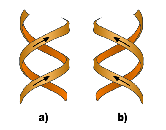 Schéma représentant le sens de l'hélice droite (image de gauche) ou gauche (image de droite)